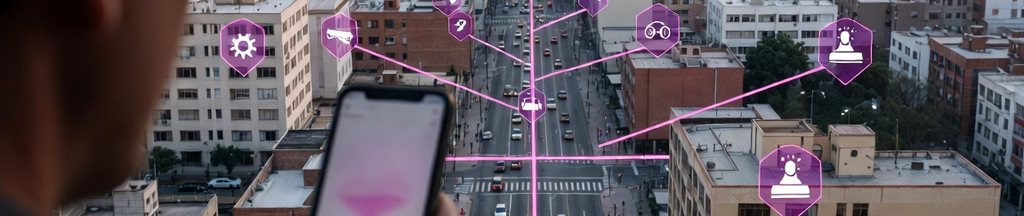 Contexto del problema de seguridad vehicular